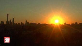 裂缝里的阳光,探寻生命的温暖与坚韧